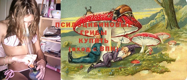 амф Беломорск