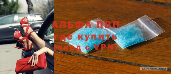 прущие грибы Белоозёрский