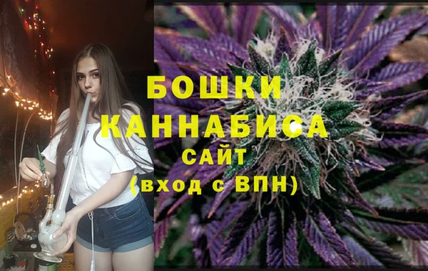 прущие грибы Белоозёрский