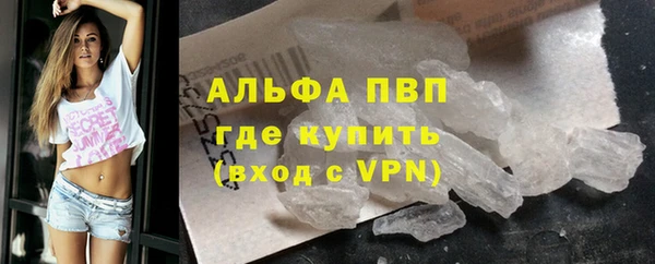 прущие грибы Белоозёрский