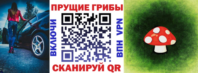 закладки  Калининец  площадка как зайти  Галлюциногенные грибы Magic Shrooms 